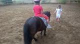 Kinder beim reiten