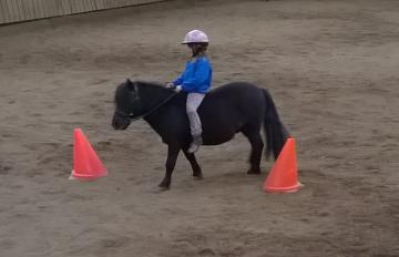 Kegelreiten mit dem Pony