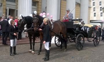 Hochzeitskutsche 2016