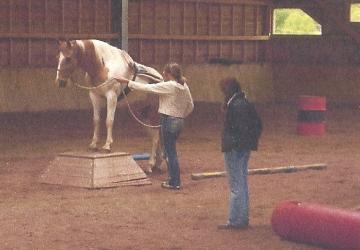 Natural Horsemanship